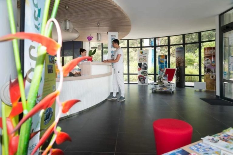 000011747021 768x512