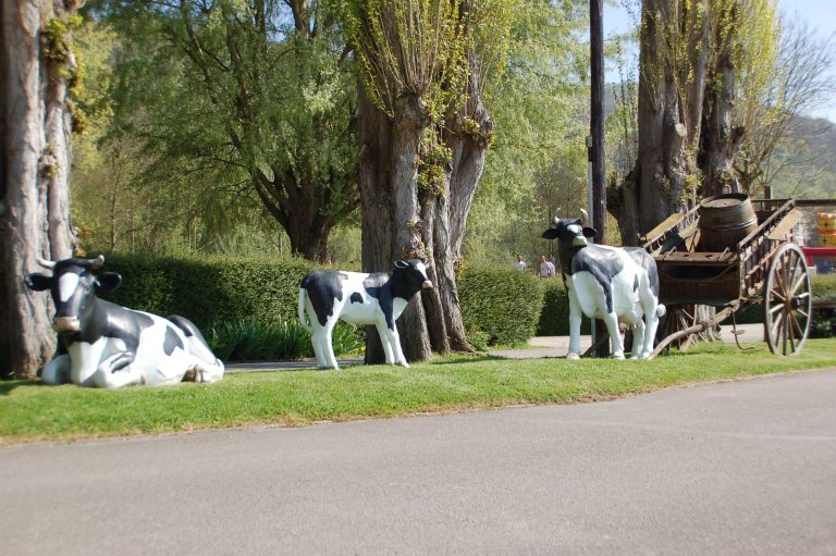 00000617293 1 768x511