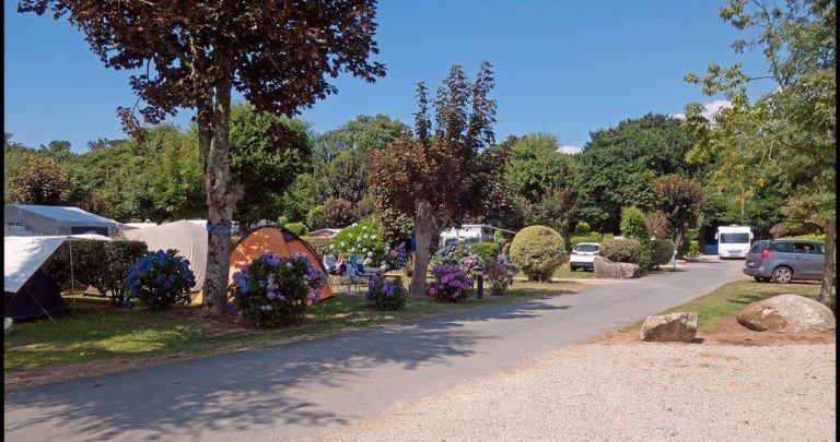 000006791861 768x405