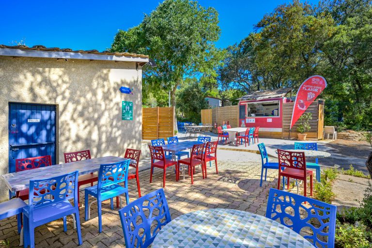 000009295381 768x511