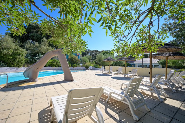 000009295391 768x511