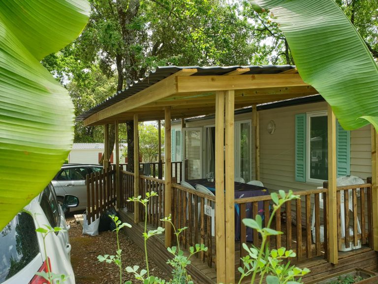 000010285641 768x576