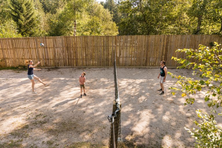 STENIOLE2024 WEB 175 768x512