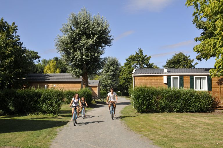 000006503871 768x510