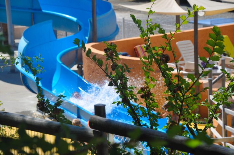 000007969511 768x510