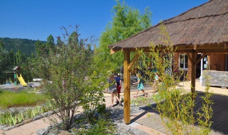 000007971231 768x456