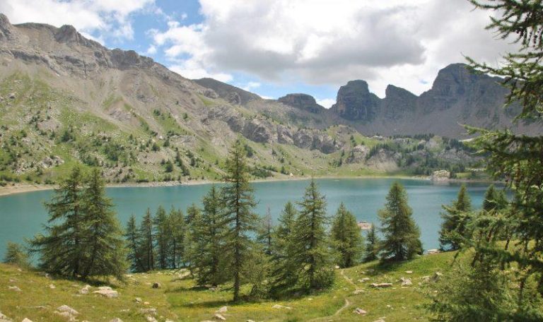 000007971241 768x456