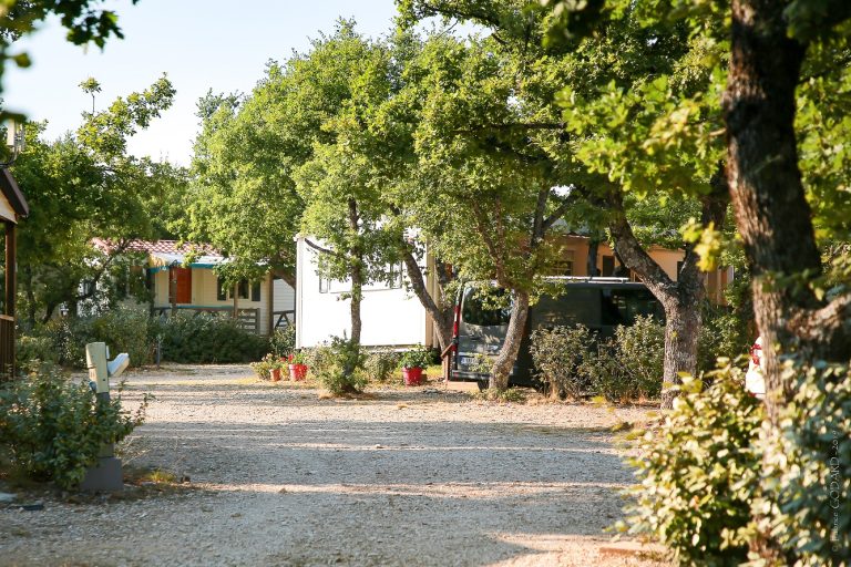 000009250511 768x512