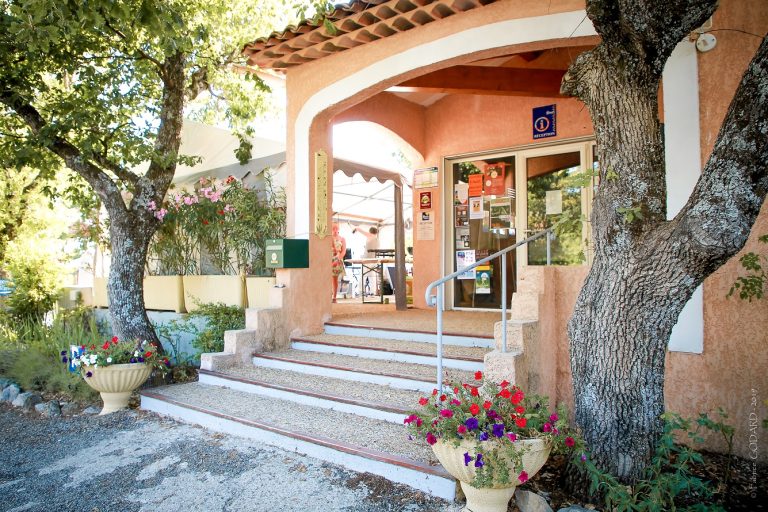 000009250691 768x512