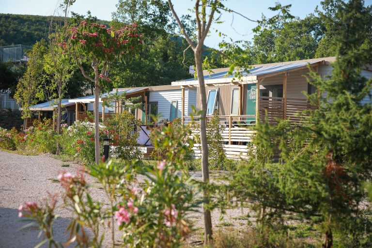 000009250751 768x512