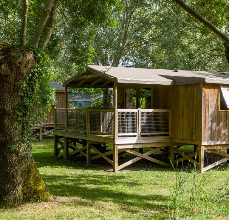 000010223761 768x736