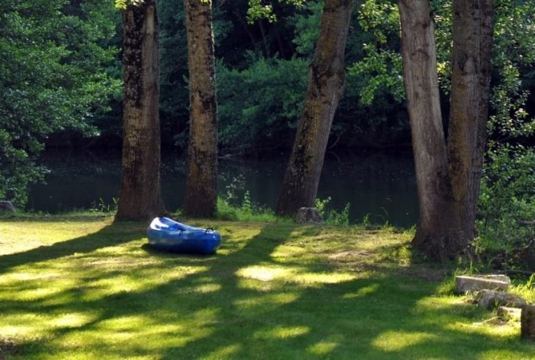 000002821071 768x517