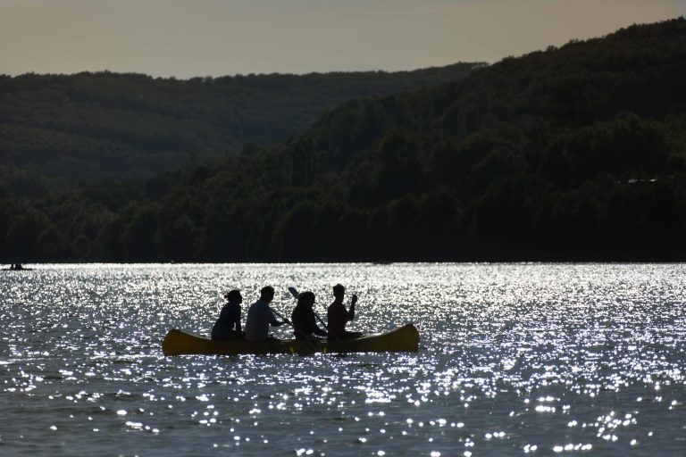 000005309911 768x512