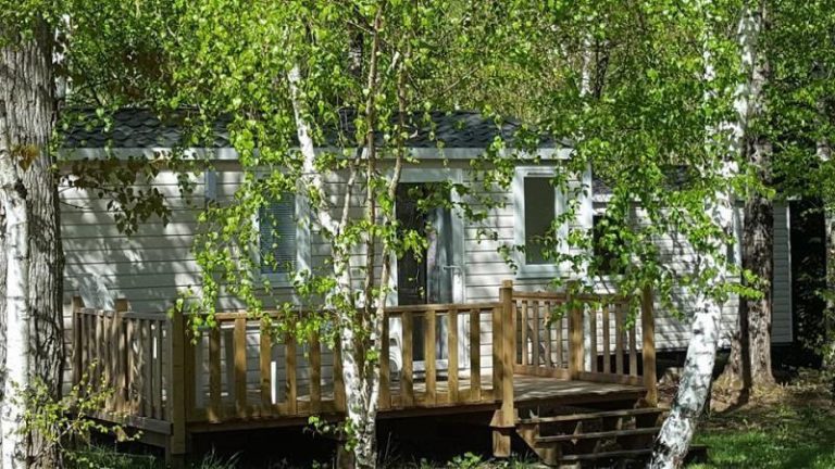 000006465641 768x432