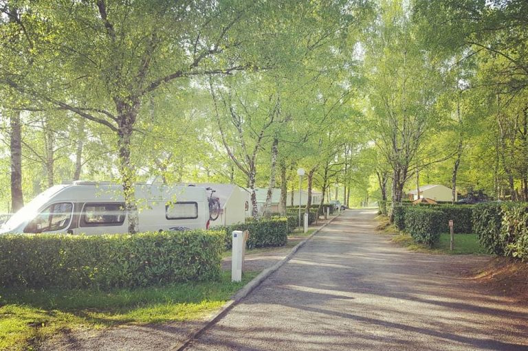 000006556421 768x511