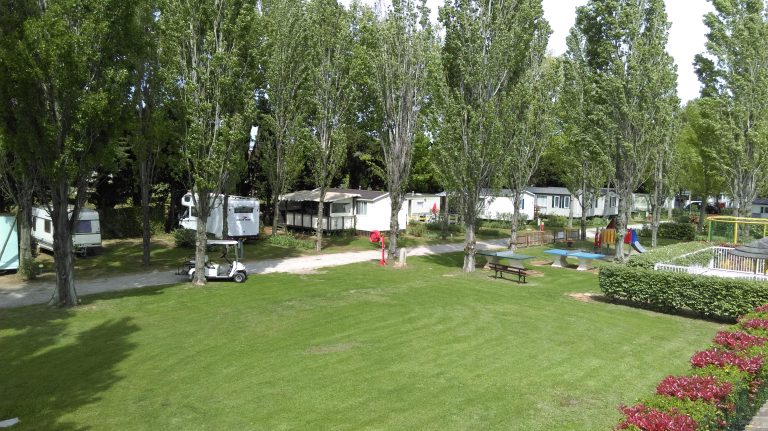 000006591921 768x431