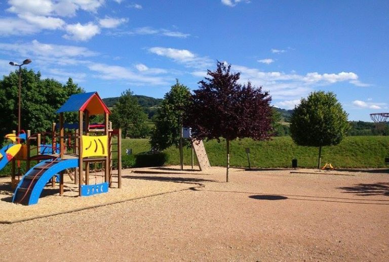 000007243451 768x518