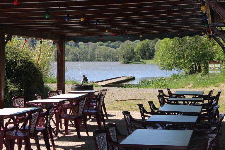 000007270931 768x512