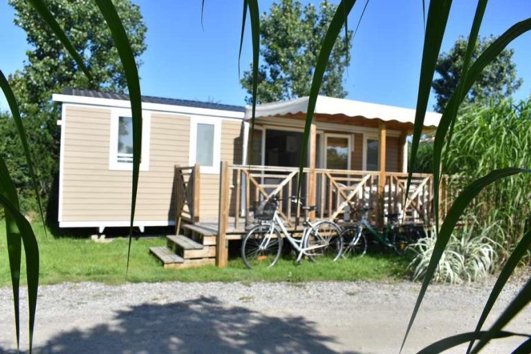 000007880861 768x512