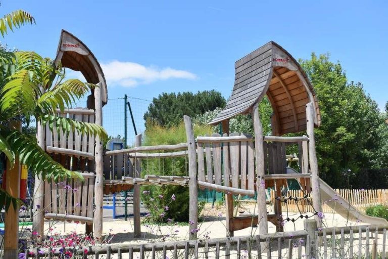 000007880901 768x512