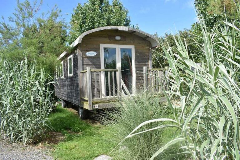 000007881041 768x512