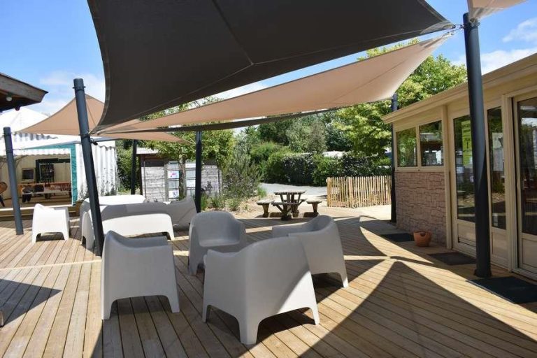 000007881071 768x512