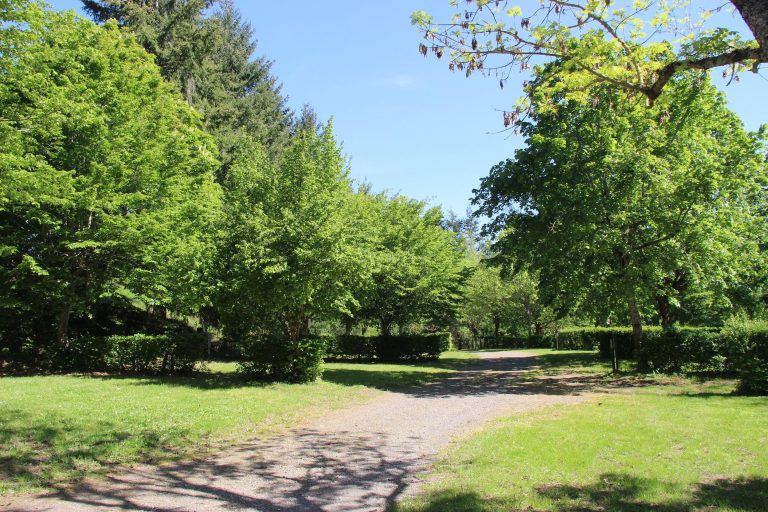 000008141391 768x512