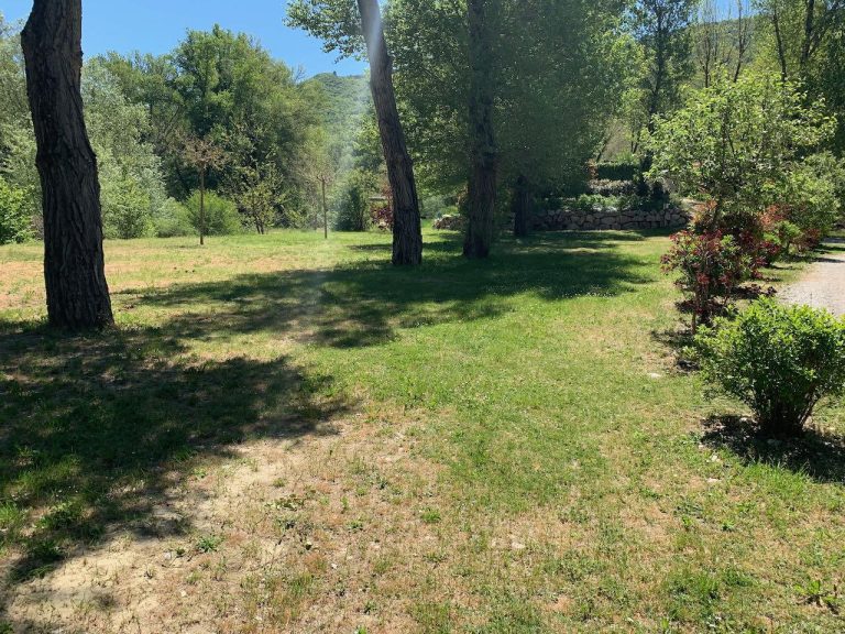 000008687921 768x576