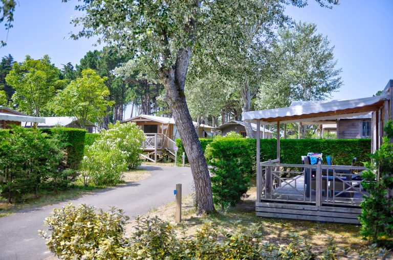 000008761361 768x509