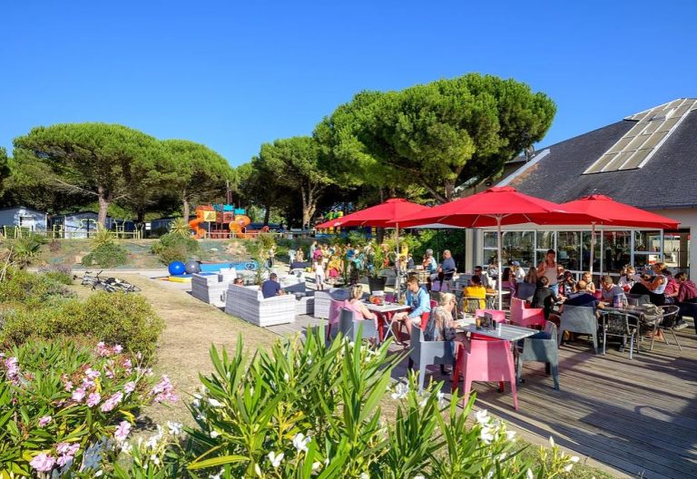 000009009491 768x528