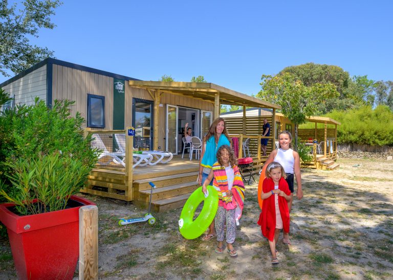 000009009501 768x548