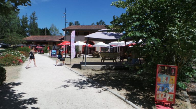 000009064131 768x427