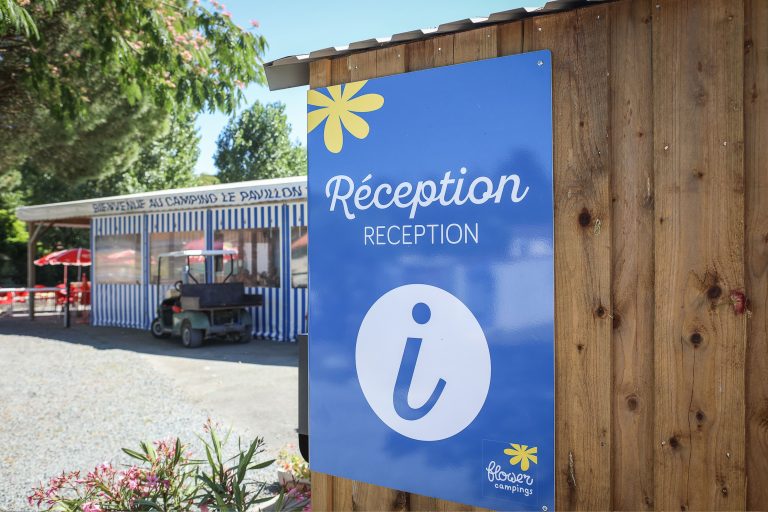 000010074341 768x512