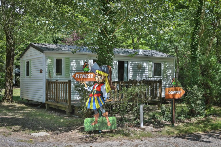 000010074581 768x512