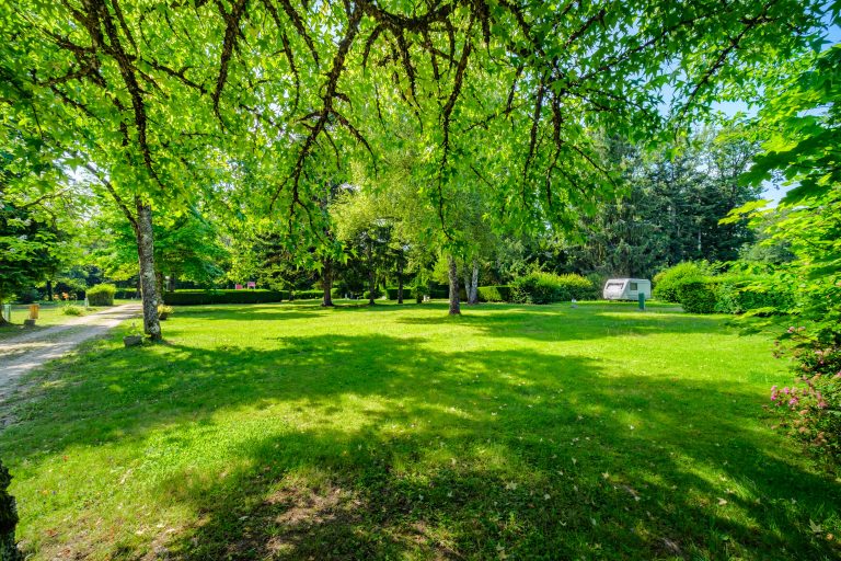 000010208711 768x512