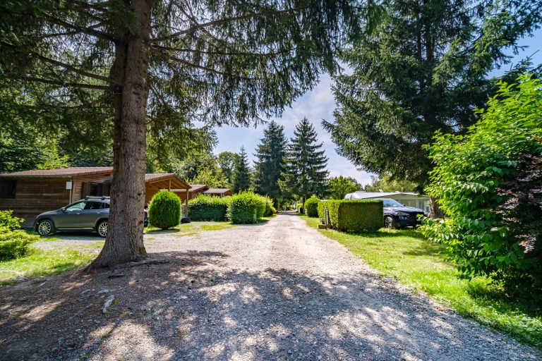 000010208721 768x512