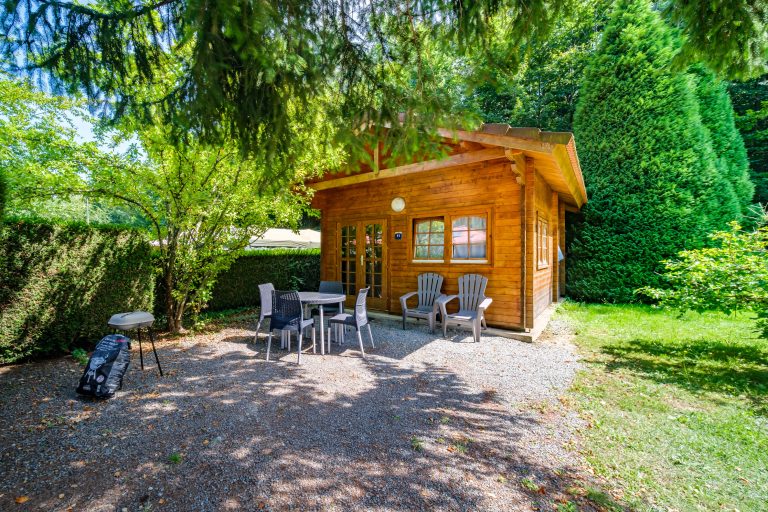 000010208741 768x512