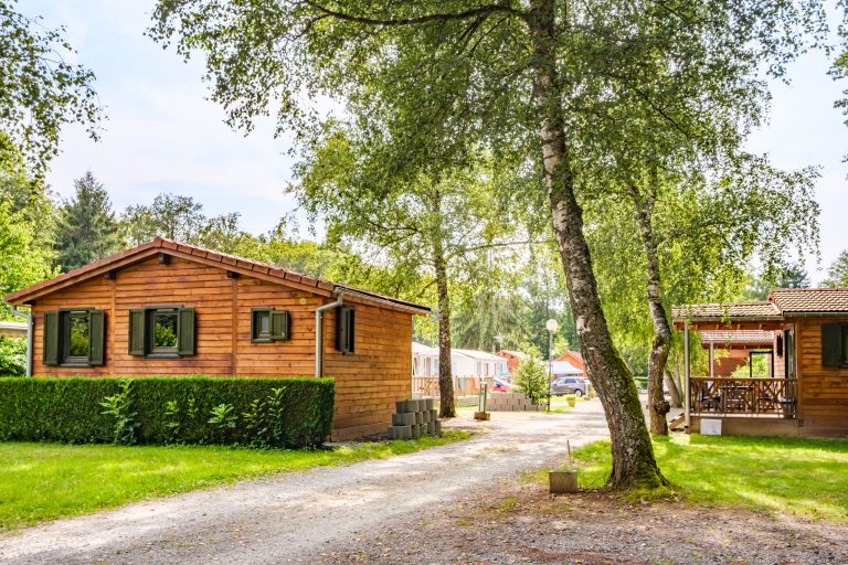 000010208761 768x512