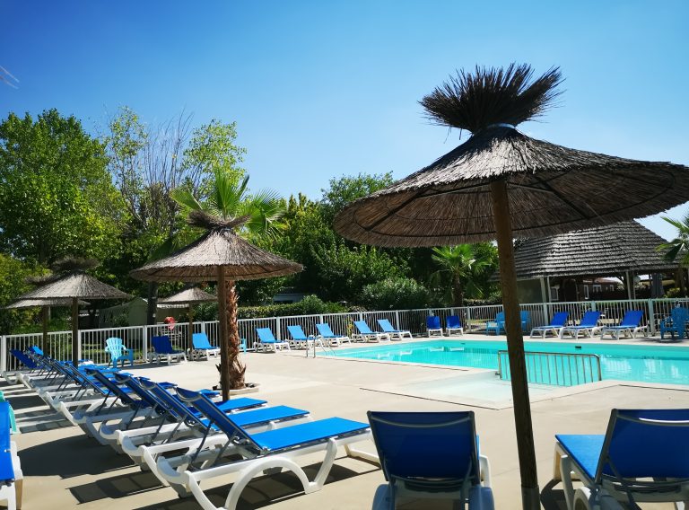 000010223401 768x568