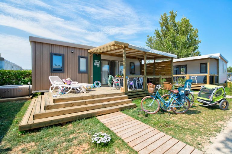 000008762051 768x512